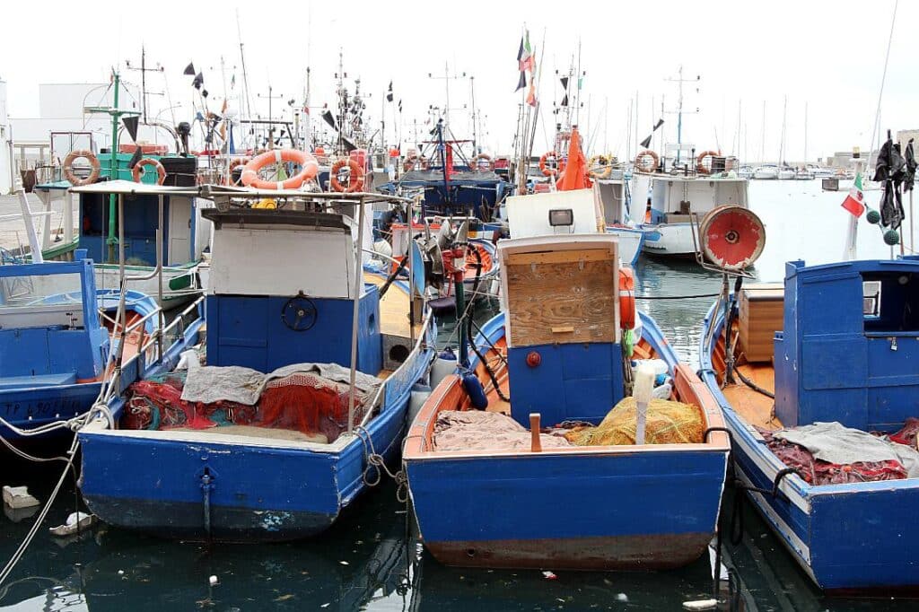 EU-Ostseefangquoten beschlossen – weiter starke Einschränkungen