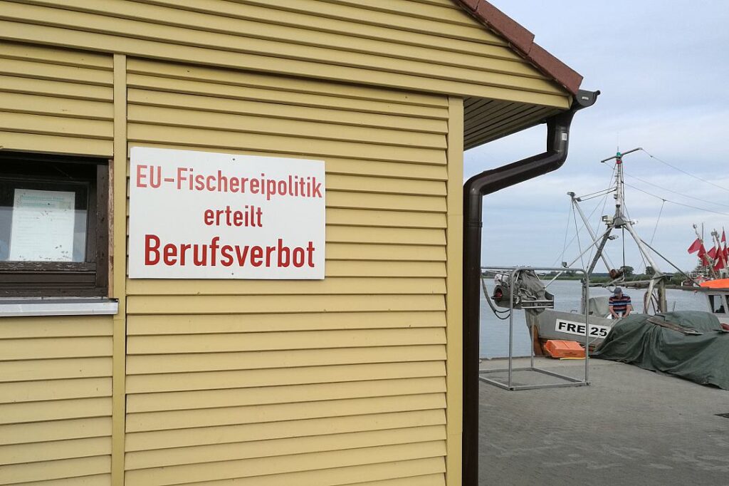 Özdemir will breitere Debatte über EU-Fischfangquoten