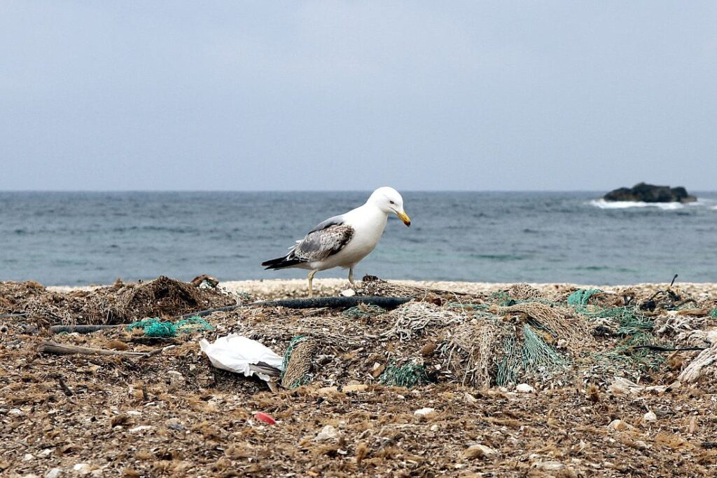 Greenpeace befürchtet Scheitern von UN-Plastikabkommen