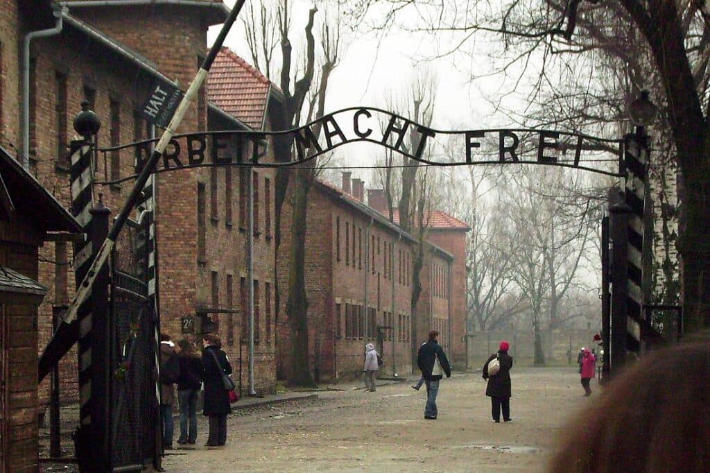 80 Jahre Auschwitz-Befreiung: Habeck will mehr Erinnerungskultur