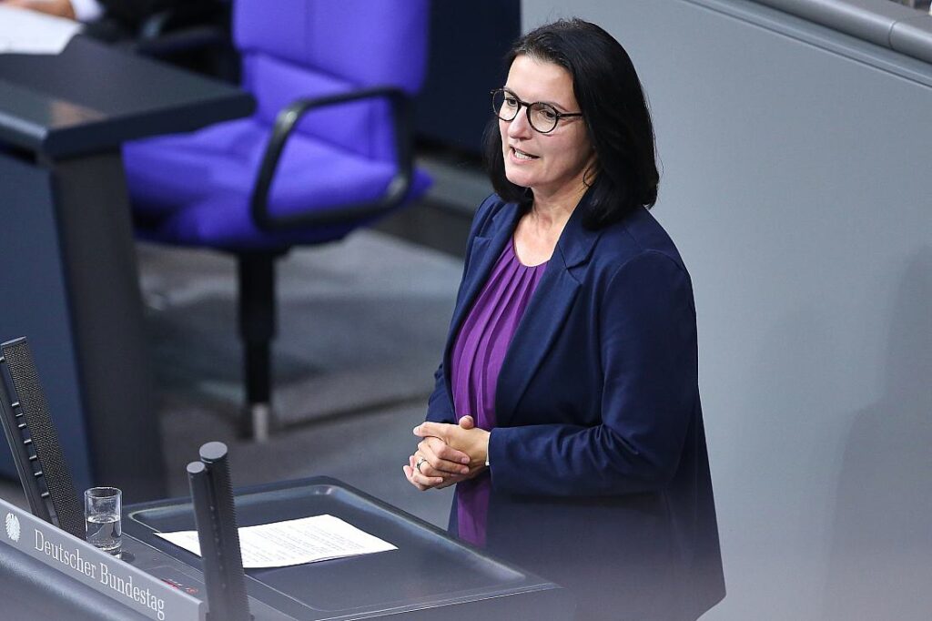 Grüne Mihalic: AfD-Verbotsverfahren Aufgabe für nächsten Bundestag