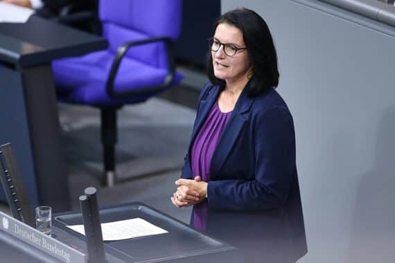 Grüne Mihalic: AfD-Verbotsverfahren Aufgabe für nächsten Bundestag