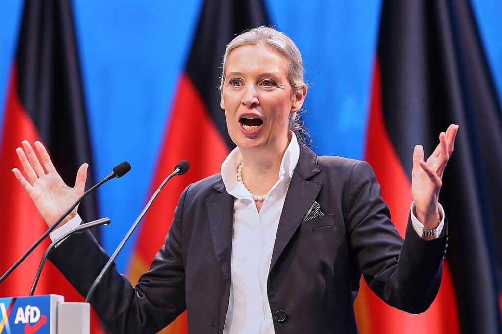 Weidel will Migrationsvorhaben der Union zustimmen