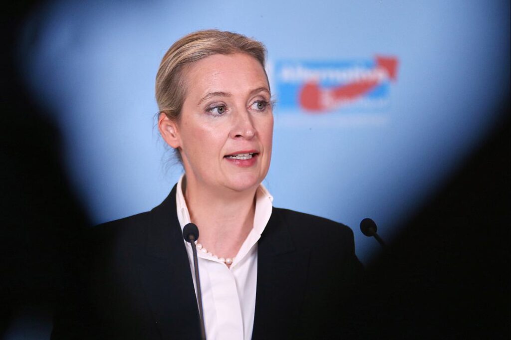 Experten sprechen Weidel und AfD Wirtschaftskompetenz ab