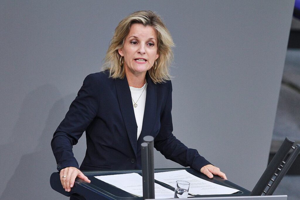 Ludwig sieht Schwierigkeiten für Auslandsdeutsche bei Bundestagswahl