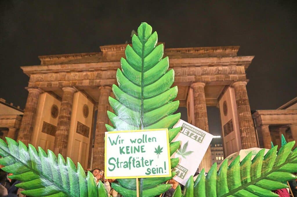 Strafverteidigerverband gegen schnelle Rückkehr zum Cannabis-Verbot
