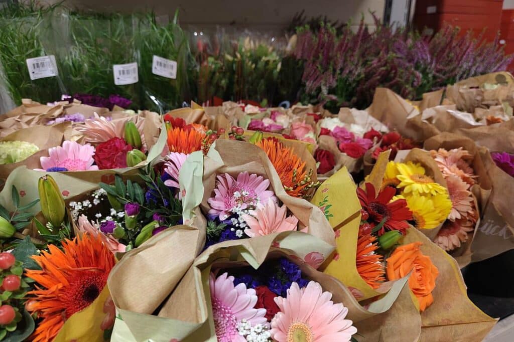 Umweltverbände warnen vor Blumengeschenken zum Valentinstag