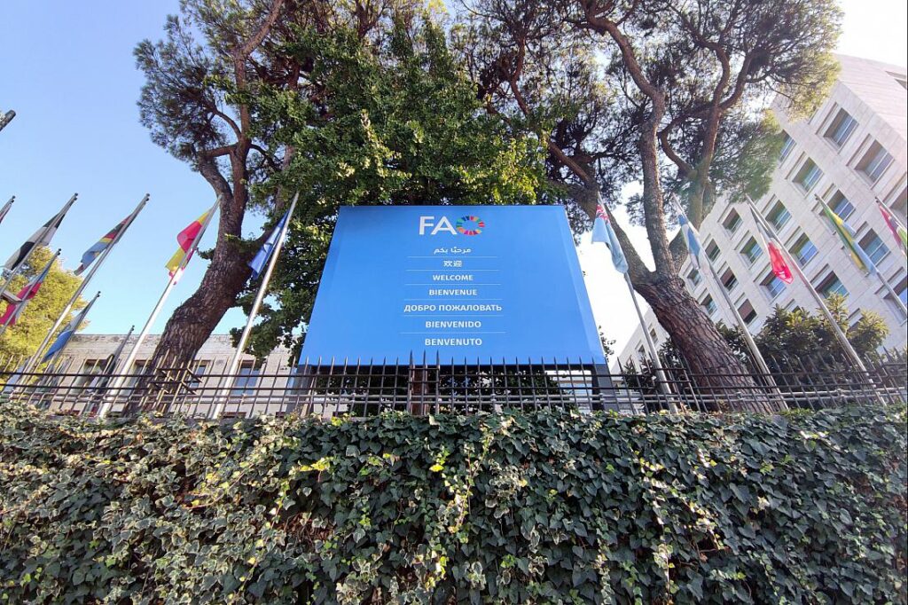 FAO mahnt zu härterem Vorgehen gegen Vogelgrippe