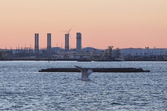 Finanzminister warnt vor weiterer Eskalation des Handelskriegs