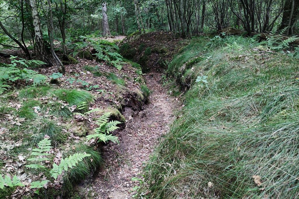 Weltkriegsende: Ukraine warnt vor Feiern mit russischen Vertretern