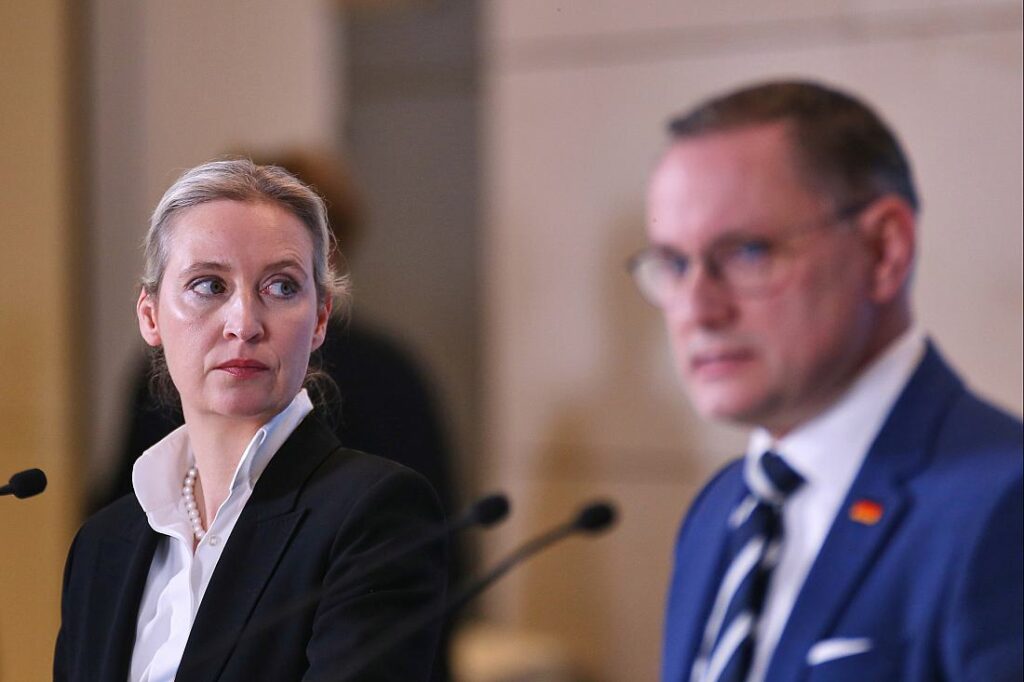 AfD will gegen Verfassungsschutz-Einstufung juristisch vorgehen