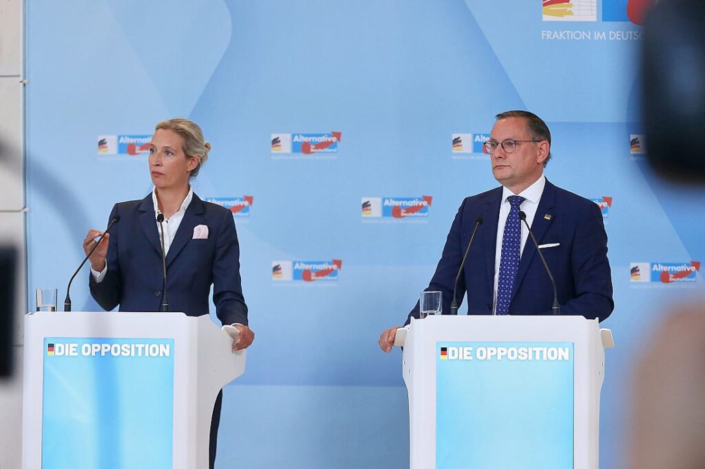 Insa: AfD verliert nach Einstufung als "rechtsextremistisch"