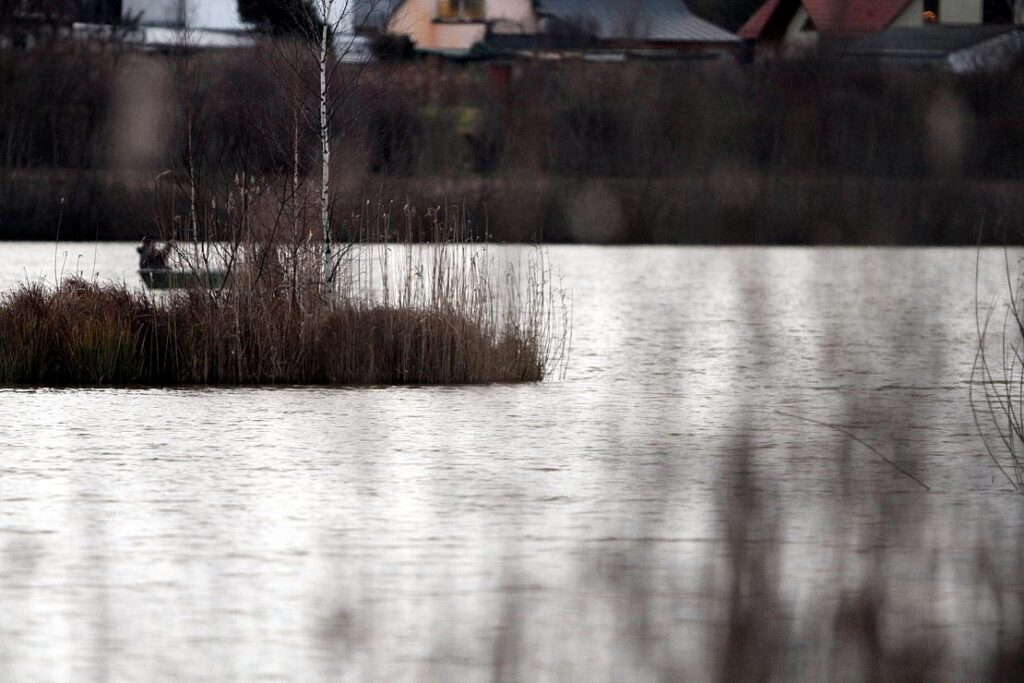 315 Hektar Schwimmfläche in Sachsen-Anhalt ausgewiesen