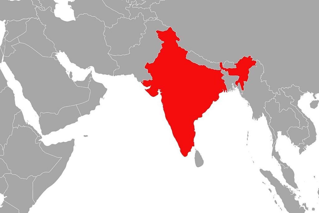 Berichte: Brite überlebt Flugzeugabsturz in Indien