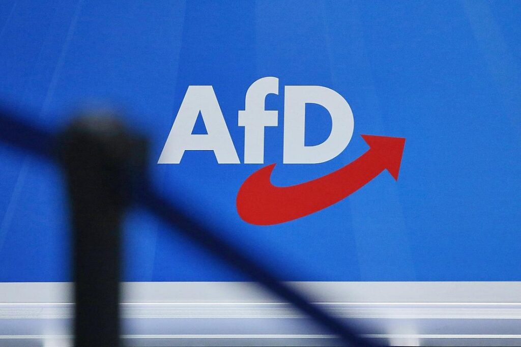 Ex-Verfassungsrichterin greift in Debatte um AfD-Verbotsantrag ein