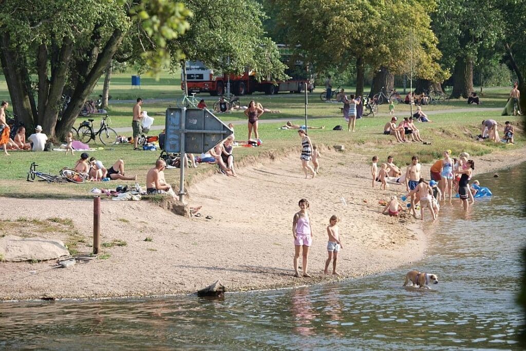 Fast alle Badeseen in Rheinland-Pfalz haben gute Wasserqualität