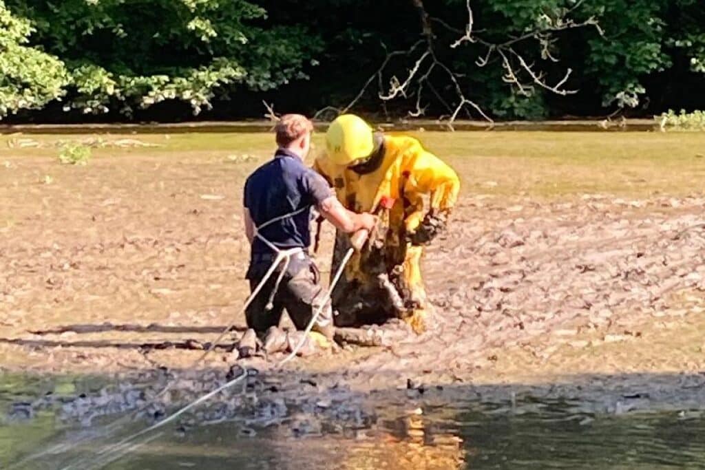 Feuerwehr befreit Kind aus Schlamm am Goldberger Teich in Mettmann