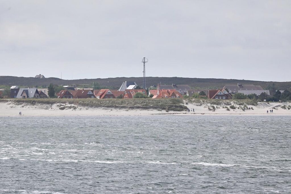 Gericht stoppt vorläufig Jagd auf Goldschakal auf Sylt