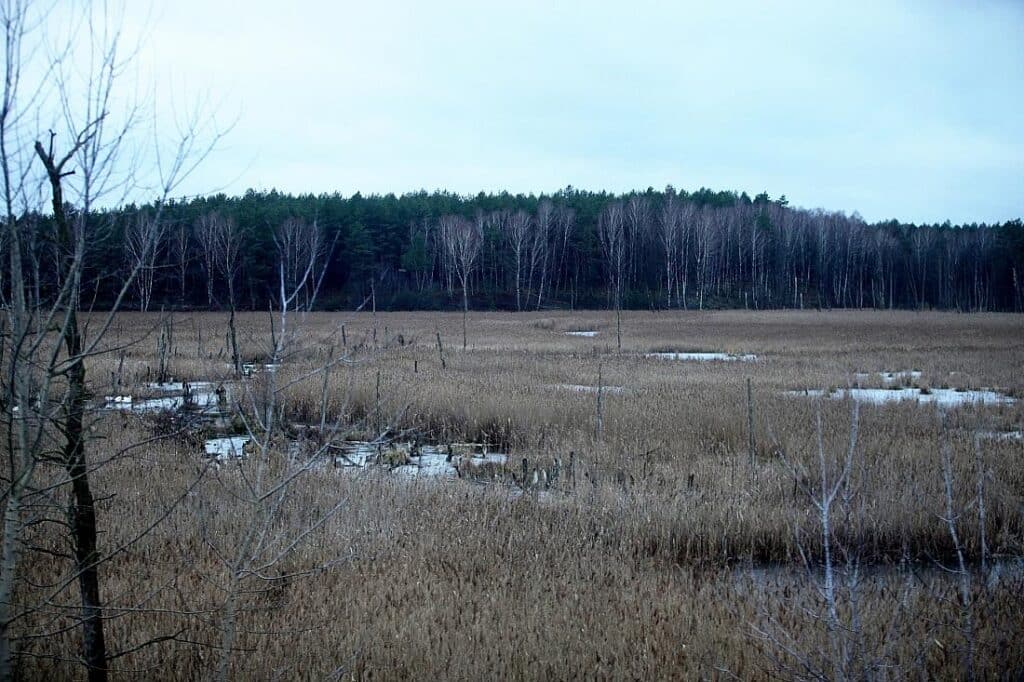 Landkreise für Transformationsfonds zur Wiedervernässung der Moore