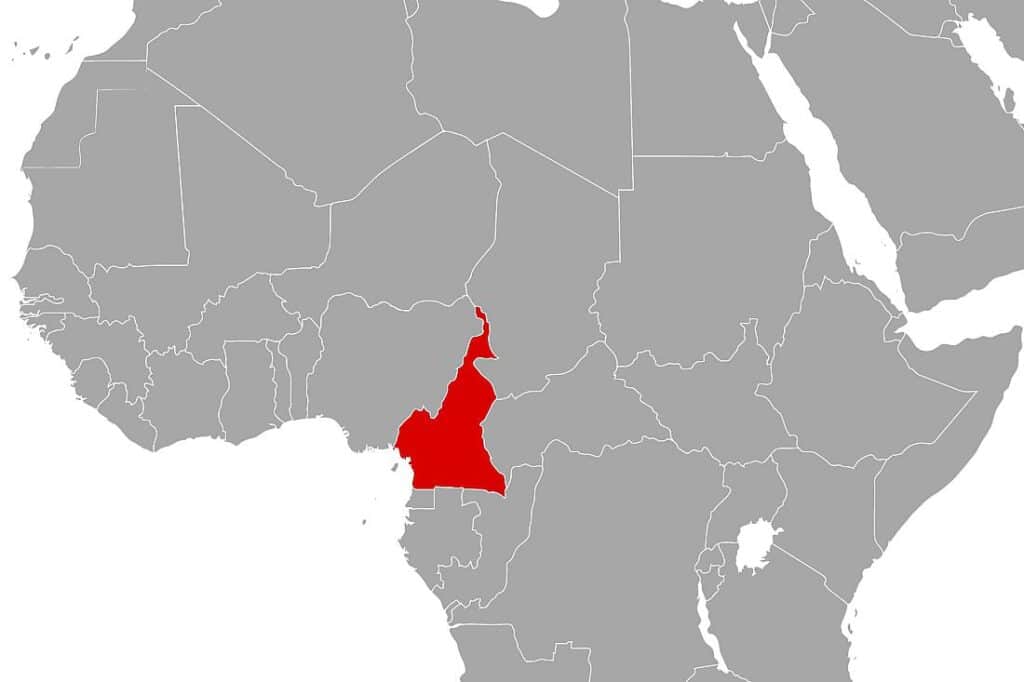 NRC: Kamerun ist am stärksten vernachlässigte Vertreibungskrise
