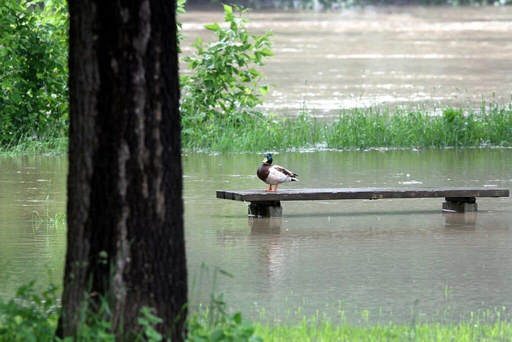 Niedersachsen will Wassergesetz an Klimawandel anpassen