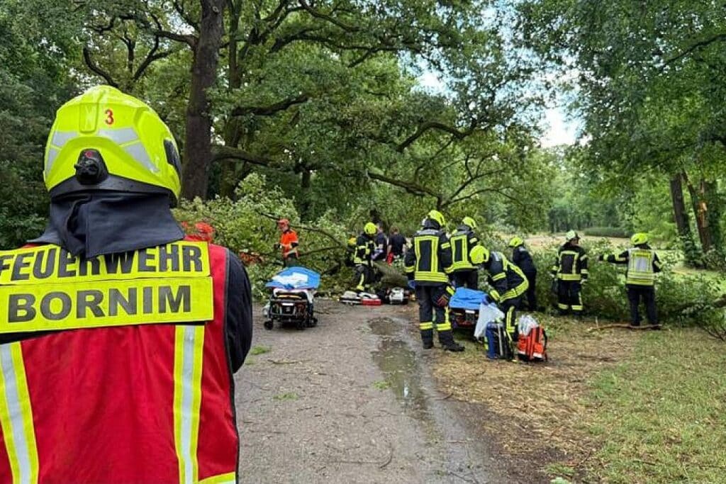 Schweres Unwetter in Potsdam verletzt zwei Personen durch Baumsturz