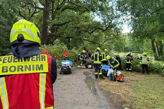 Gewitter in Potsdam: Stürzende Bäume, Feuerwehr im Einsatz, verletzte Personen, dramatische Situation.