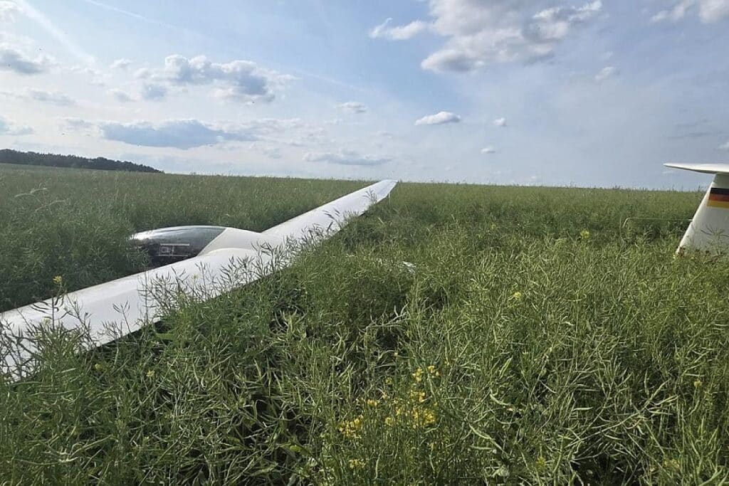 Segelflugzeug landet bei Ruhner Berge auf Feld