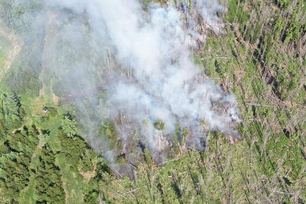 Waldbrand am Möhnesee beschäftigt 300 Einsatzkräfte