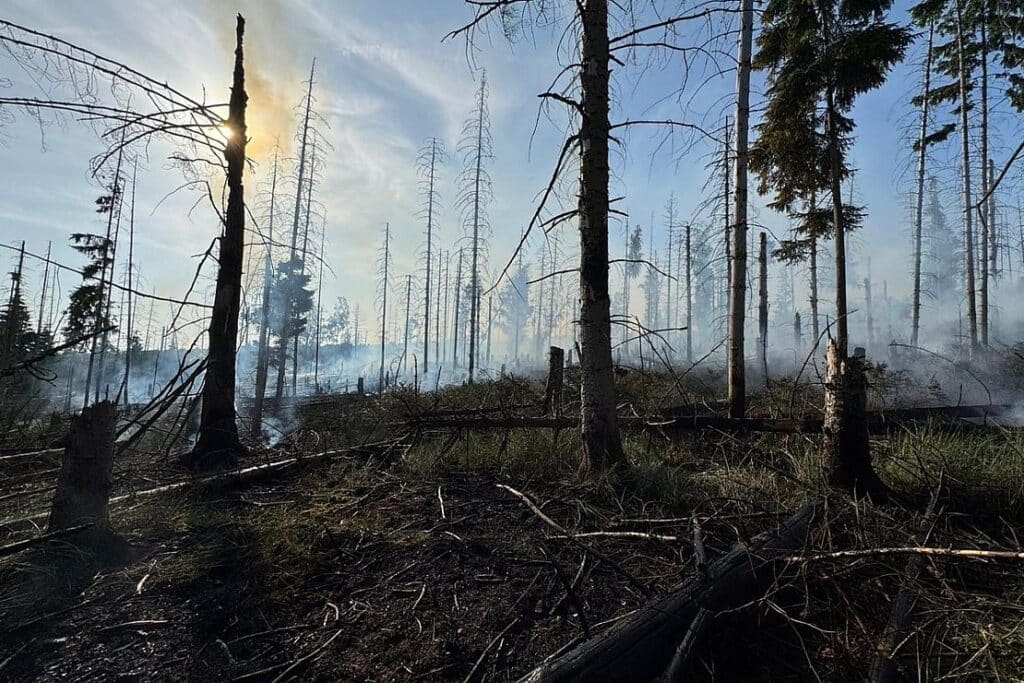 Waldbrand am Möhnesee weitet sich aus