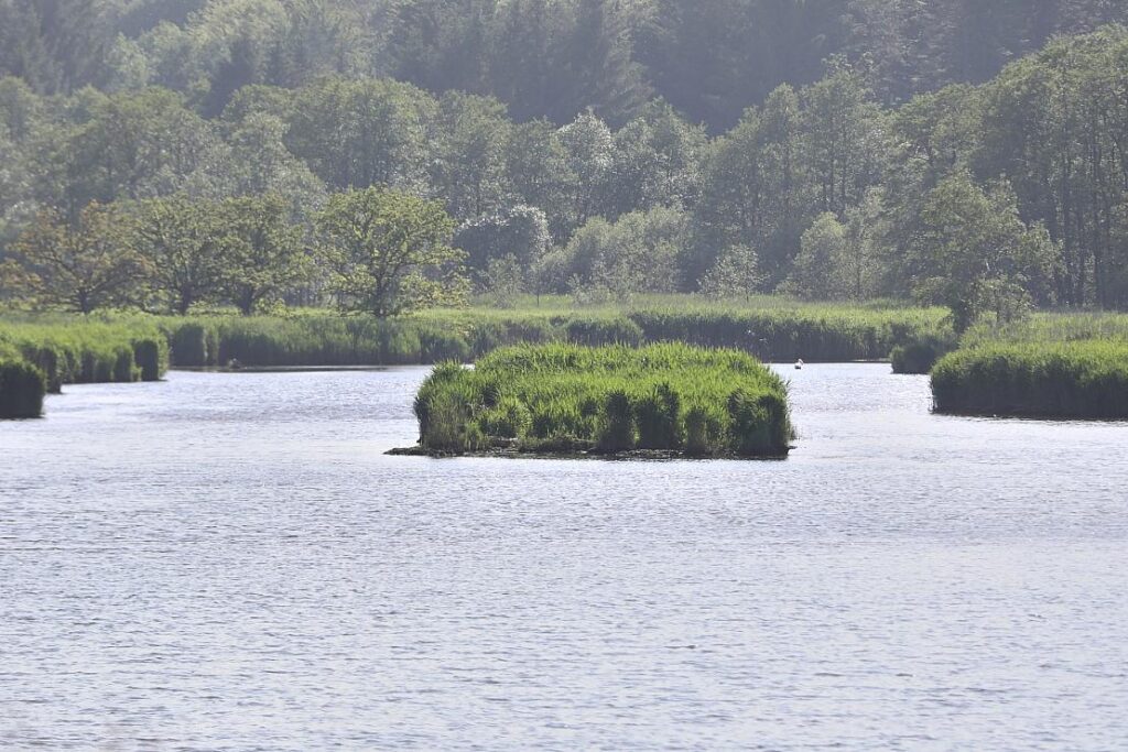 Wetterbericht für Mecklenburg-Vorpommern (04.06.2025)