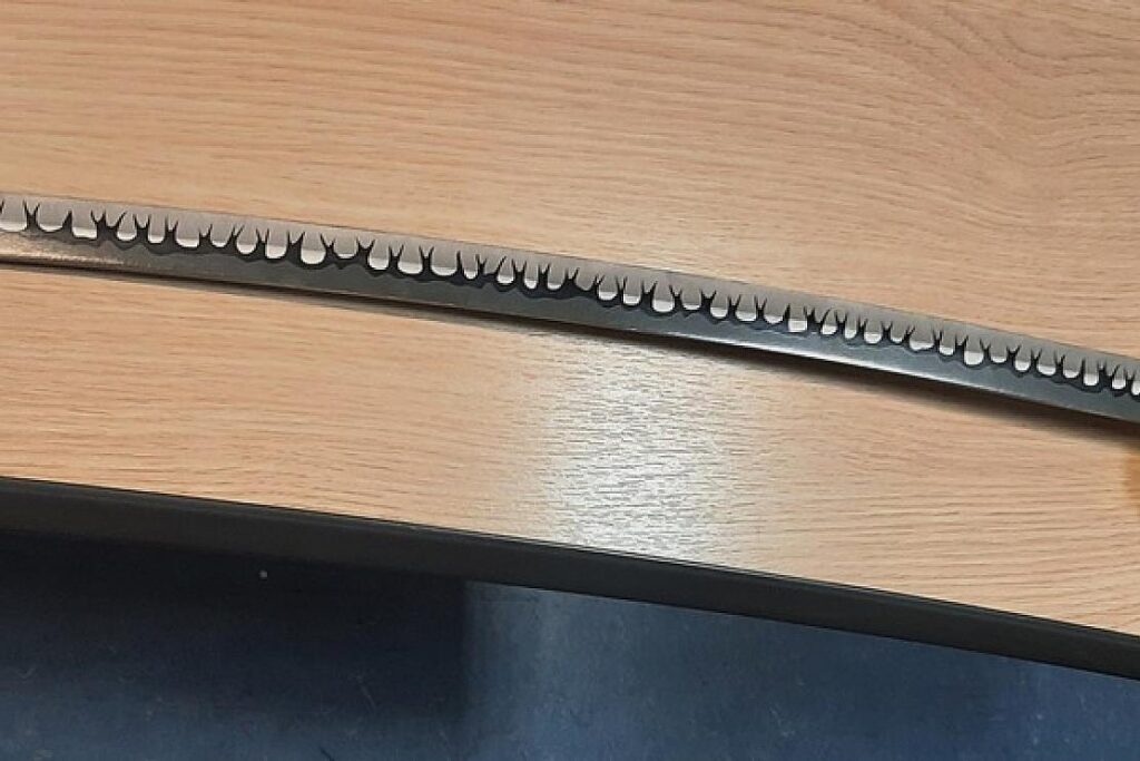 17-Jähriger mit Katana am Chemnitzer Hauptbahnhof erwischt