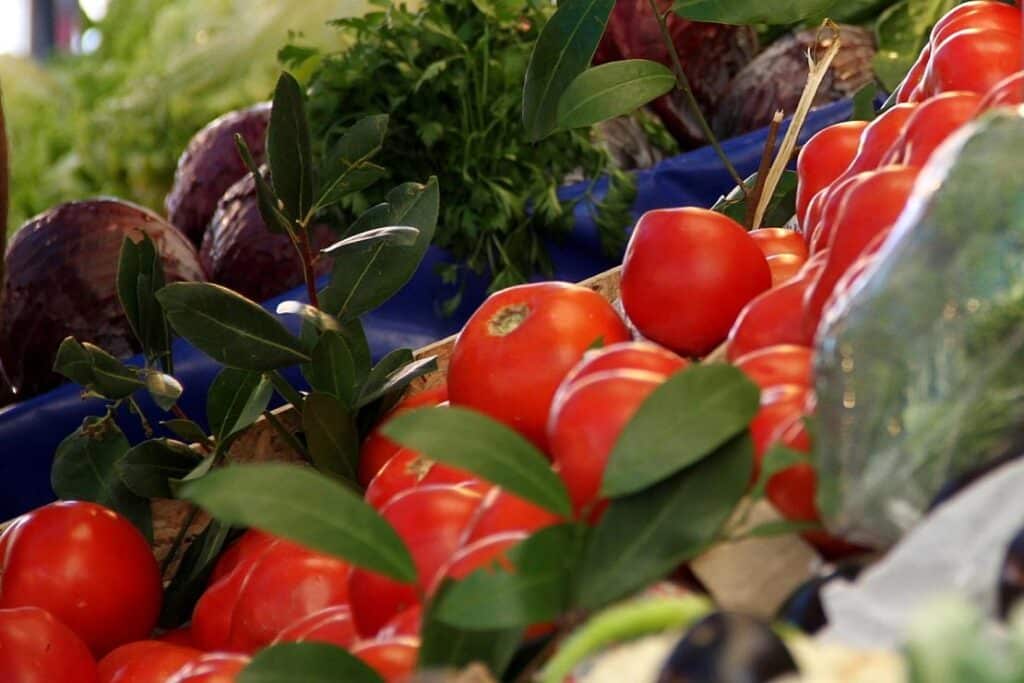 50 Schülermentoren für nachhaltige Ernährung in Stuttgart ausgezeichnet