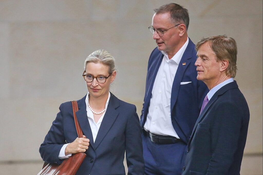 AfD prüft Verfassungsbeschwerde wegen "Verdachtsfall"-Einstufung