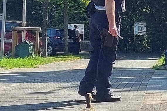 Bundespolizisten retten Entenfamilie und Jungvogel in Bremerhaven vor Gefahren des Verkehrs.