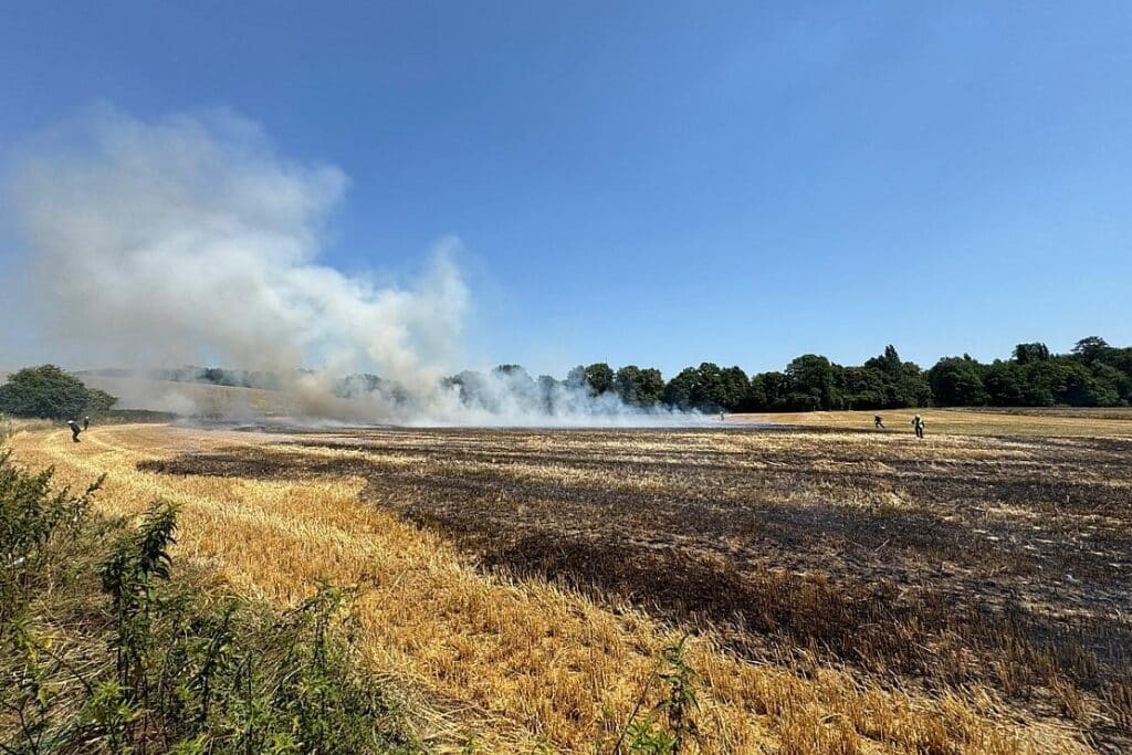 Feuerwehr Erkrath löscht Flächenbrand von 9.000 Quadratmetern
