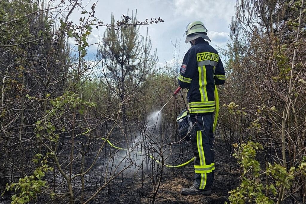 Feuerwehr bekämpft großen Vegetationsbrand in Celle
