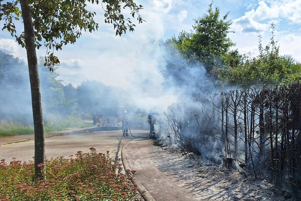 Feuerwehr löscht größeren Heckenbrand in Bocholt-Mussum