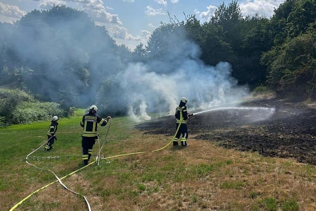 Feuerwehr verhindert Übergreifen eines Wiesenbrandes auf Wald in Sprockhövel