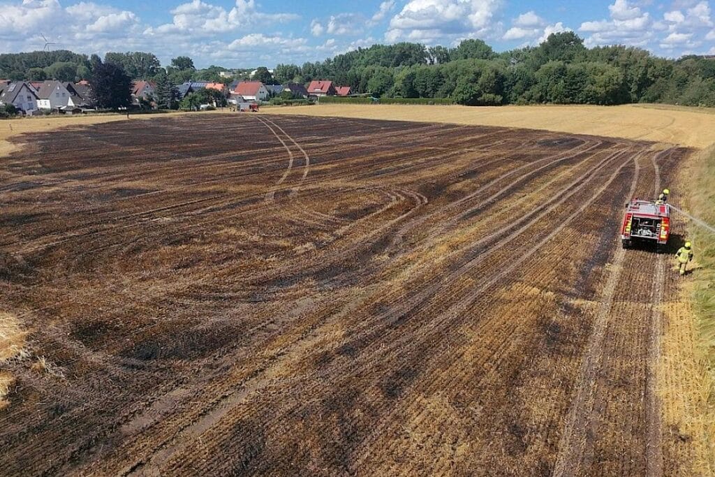 Feuerwehr verhindert Übergreifen von Vegetationsbrand auf Wald bei Detmold