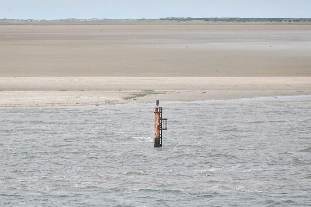 Gericht bestätigt Vollziehbarkeit von Naturschutz-Befreiungen für Seekabel vor Borkum