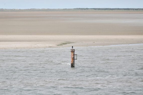 Seekabelverlegung vor Borkum: Verwaltungsgericht bestätigt naturschutzrechtliche Befreiungen für Offshore-Projekt.