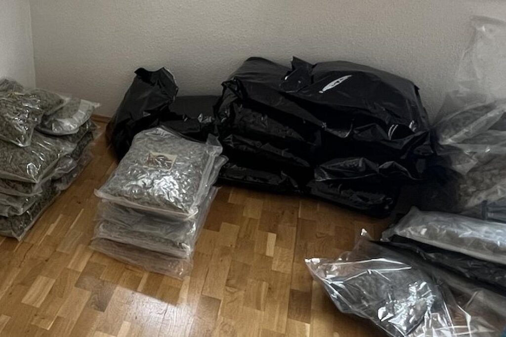Großrazzia gegen Drogenhandelsring in Sachsen-Anhalt und Sachsen