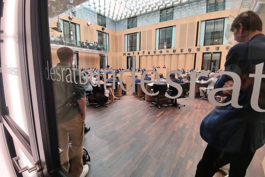 Grüne fordern Prüfauftrag für AfD-Verbot im Bundesrat