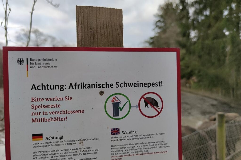 Hochsauerlandkreis intensiviert Monitoring der Afrikanischen Schweinepest