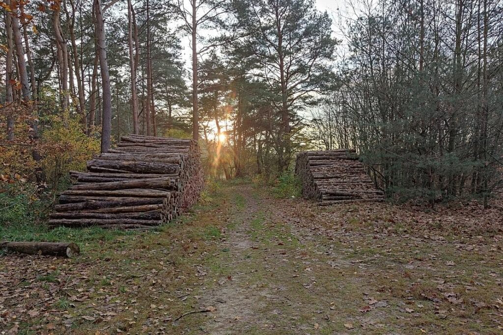 Holzpolter in Möser gestohlen