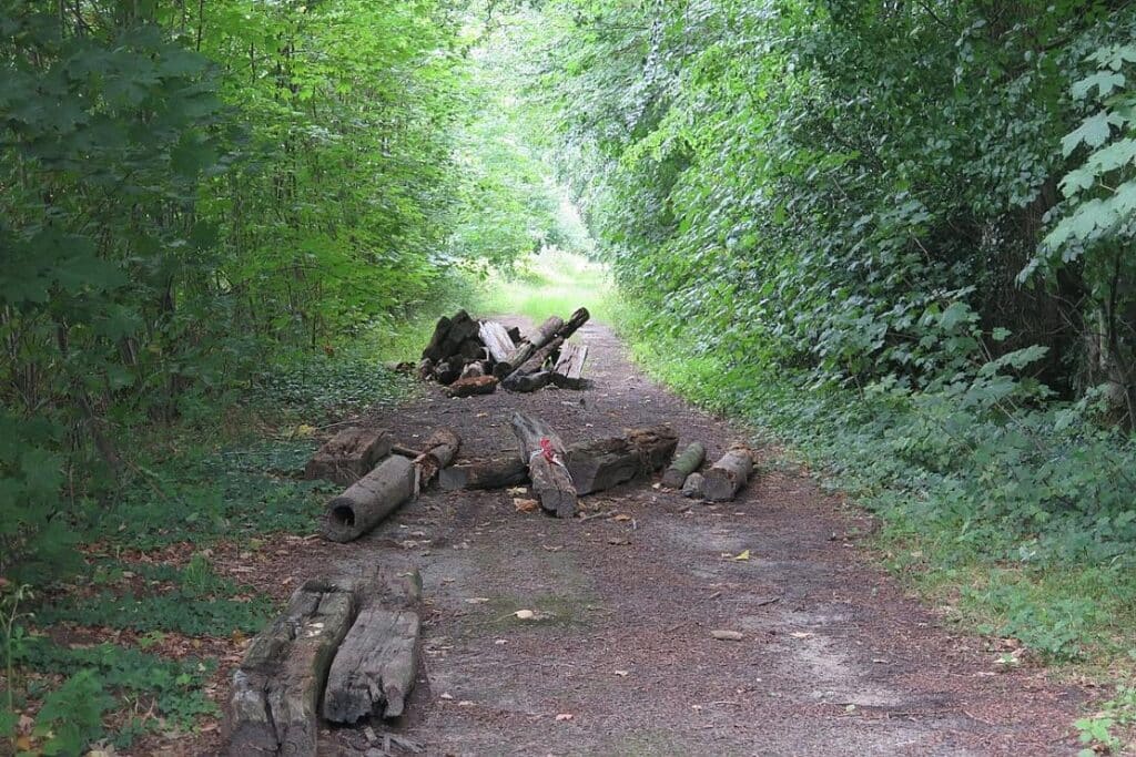 Illegale Entsorgung von Sondermüll bei Winkelsett