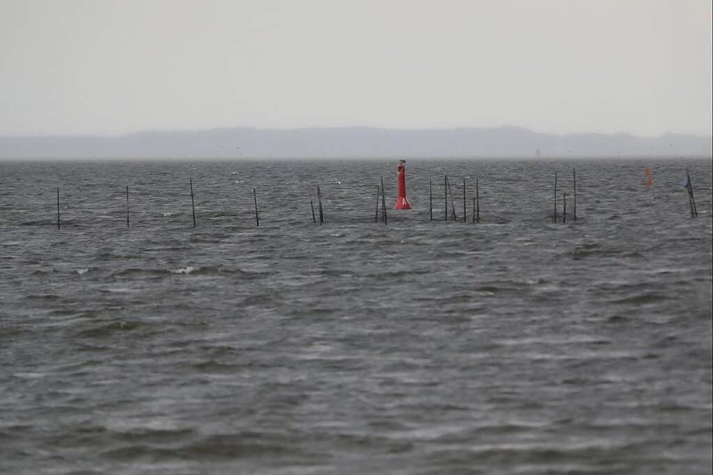 Mecklenburg-Vorpommern mit viel Regen im Juli