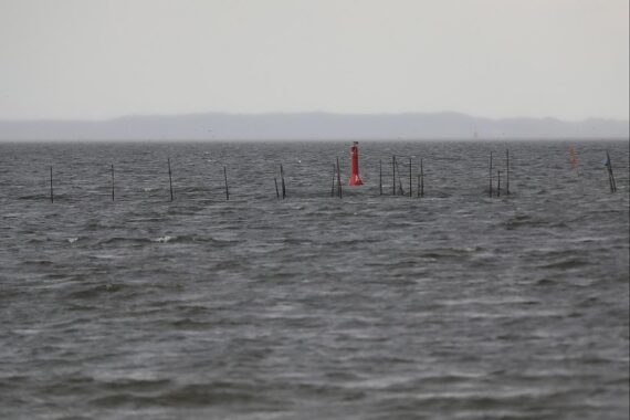 Regenreiche Landschaft am Stettiner Haff mit grauem Himmel und wenigen Sonnenstrahlen.