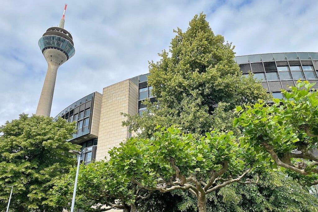 Mehr junge Besucher im NRW-Landtag